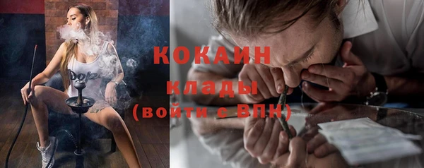 дурь Пересвет