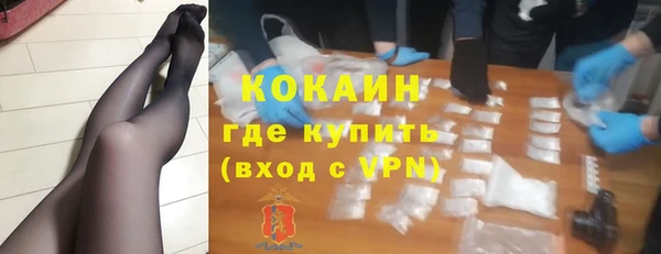 дурь Пересвет