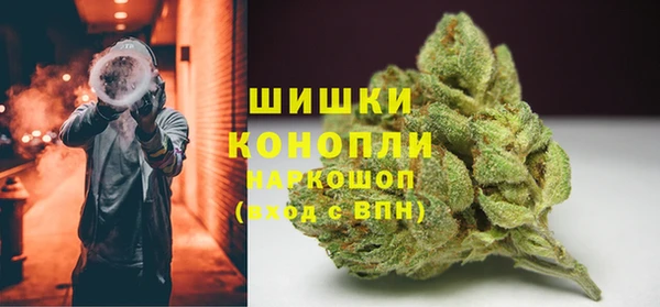дурь Пересвет